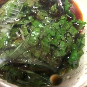 大葉醤油漬け☆大葉大量消費にも